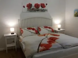 La casa di Cì-CÌ