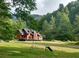 Refugio Las Raices, lodge ở Malalcahuello