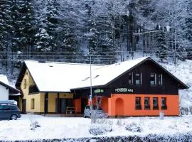 Pension 444 - Ski Resort Herlikovice and Bubakov