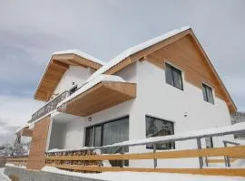 Double House Bakuriani