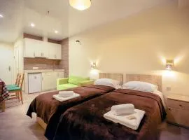 Cozy appartement, loft2 in New Gudauri