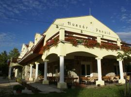 Huszár Panzió és Étterem: Sárospatak şehrinde bir otel
