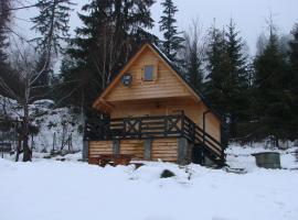 Villa Róża, hotel in Kamesznica