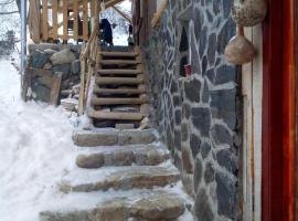 Smeštaj "Čardak" Manojlović – hotel w mieście Crni Vrh