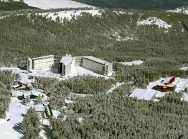 Estación de Montaña Manzaneda, ski resort in Puebla de Trives