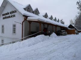 Penzión Kúria, hotel with parking in Dolný Kubín