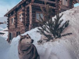 Mountain Cricket Chalets and Apartments Gudauri, skianlegg i Gudauri