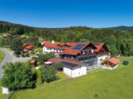 Hotel Hirschenstein, hotel en Achslach