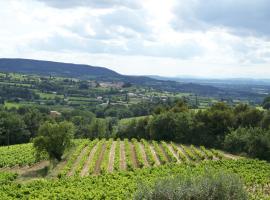 Gîte en provence au coeur des vignes, semesterboende i Villedieu