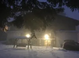 Charming Chalet Timisu de Sus