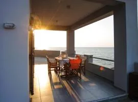 Albatross House