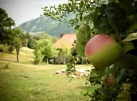 Ca-Jo Bed and Breakfast