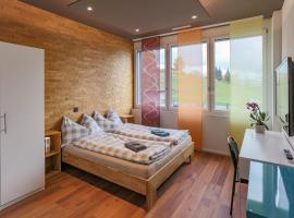 Andi's BnB, holiday rental in Zug