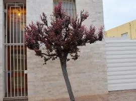 Vía Lavalle Suites 1