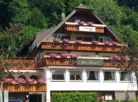 Decker's Bio Hotel zum Lamm, cheap hotel in Baiersbronn