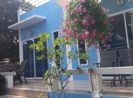 Belinda Home