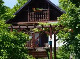 Na Okić - a private forest oasis