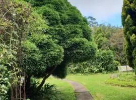 English Gardens - Forest Spa Suite