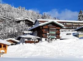Apartment Weinberg, hotel in Kirchberg in Tirol