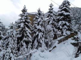 Elatos cozy Studio, apartment in Ano Trikala