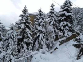 Elatos cozy Studio