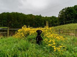 Wolf Creek Farm B&B and Motorcycle Manor at Wolf Creek Farm, LLC, glamping ad Ararat