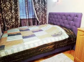 Центр, 2х комнатная студио возле парка, WIFI