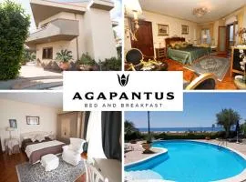 Agapantus Bed & Breakfast