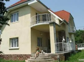Anna Villa
