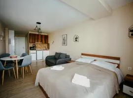 Maisako's New Gudauri Apartment