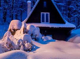 Chaty Pohoda na Soláni, lodge in Velké Karlovice