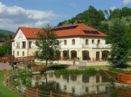 Aranybánya Hotel, hotel en Telkibánya