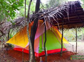 Sigiri Jungle Camping，錫吉里亞的飯店