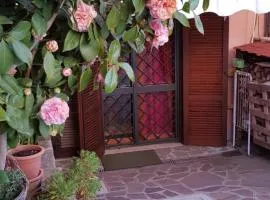 B&B Vista su Roma