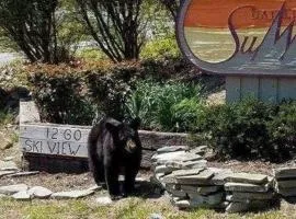 Gatlinburg Mountain Condo