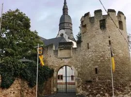 Fronhof 3