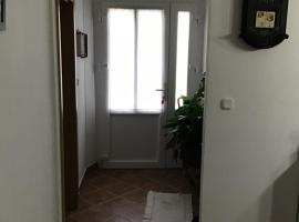 Apartman Carina, hotel v Velikem Ižu