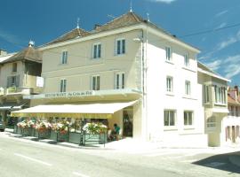 Hotel de France, hotel in Morestel