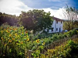 Apartment with privat garden