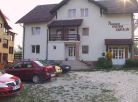 Pension Piatra Craiului, romantický hotel v destinaci Moieciu de Jos