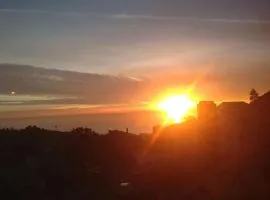 Rent Laguna Beach Sanctuary