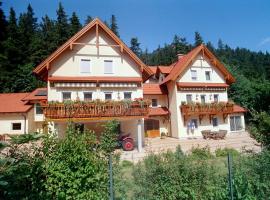 Haus Lenz Ferienwohnungen - Fam Ostermann, hotel i Puchberg am Schneeberg