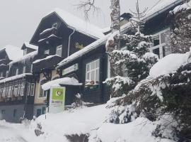 B&B Hotel das onkel fritz: Spital am Semmering şehrinde bir otel