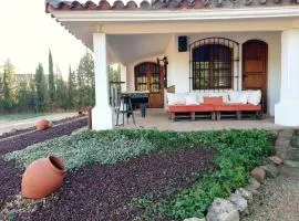Chalet Alavesa - Lagunas de Ruidera