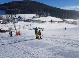 Ferienwohnung am Schneeberg โรงแรมในทิทิเซ-นอยชตัดท์