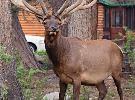 Idlewilde by the River, resort i Estes Park