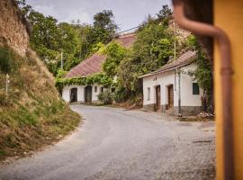 Schmankerl und Gast, nakvynės su pusryčiais namai mieste Rohrendorf bei Krems