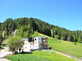 Steinwandterhof, hotel en Braies