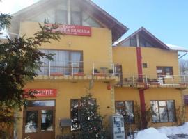 Pensiunea Dracula & Spa, spa hotel in Căpăţîneni-Ungureni