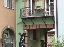 Ferienwohnung im historischen Stadttor, apartment in Staufen im Breisgau